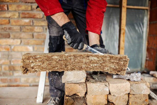 Best Cellulose Insulation  in Richland, MS